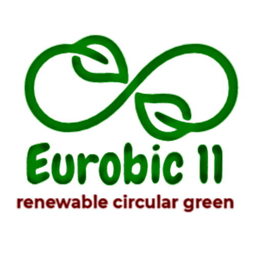 The Eurobic 11 Logo