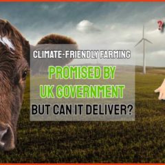 Text asks about "Climate friendly farming".