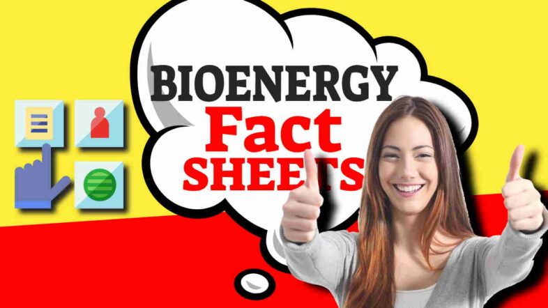 Image text: "Bioenergy Fact Sheets".