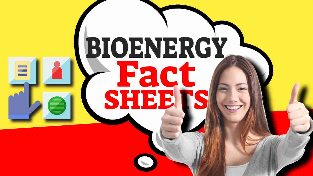 Image text: "Bioenergy Factsheets".