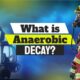 Image text: "What is Anaerobic Decay"