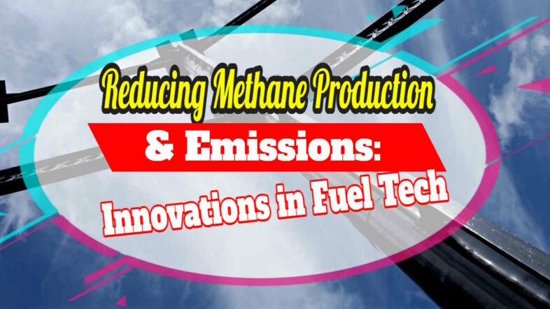 Image text: "Reducing methane production and emissions.